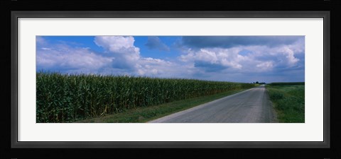 Framed Road along corn fields, Christian County, Illinois, USA Print