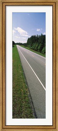 Framed Trees along the road, Alabama State Route 113, Alabama, USA Print