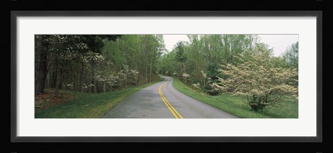 Framed Road passing through a landscape, Blue Ridge Parkway, Virginia, USA Print