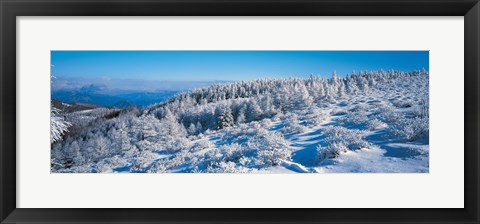 Framed Winter in Utsukushigahara Nagano Japan Print