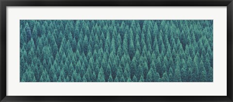 Framed Kujyu Cho Ooita Japan Print