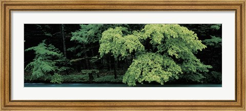 Framed Kamikochi Nagano Japan Print