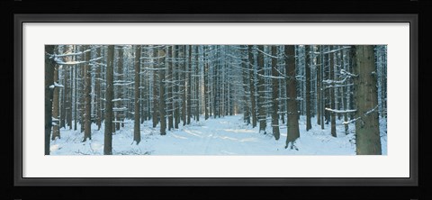 Framed Germany Print