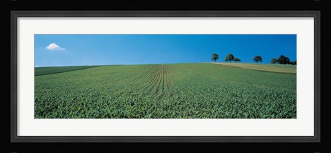 Framed France, Alsace Print