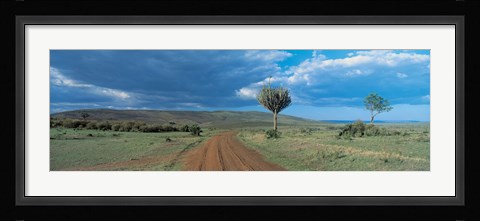 Framed Masai Mara Game Reserve Kenya Print