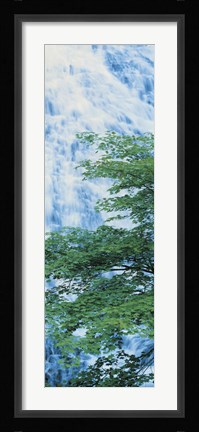 Framed Oku-Nikko Tochigi Japan Print