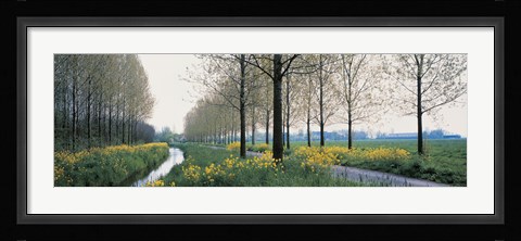 Framed Dordrecht Holland Netherlands Print