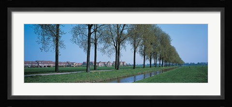 Framed Aalsmeer Holland Netherlands Print