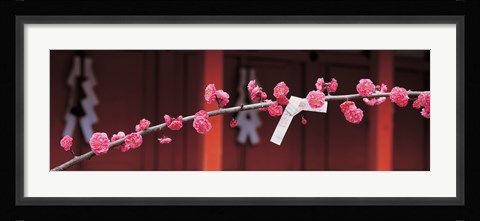 Framed Kitano Tenmangu Kyoto Japan Print