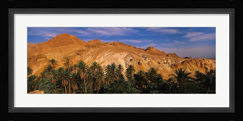Framed Palm trees in front of mountains, Chebika, Tunisia Print