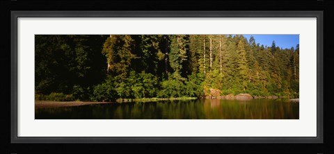 Framed Reflection of trees in a river, Smith River, Jedediah Smith Redwoods State Park, California, USA Print
