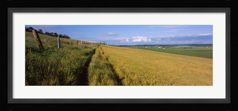Framed Wooden fence along a farm, Ebey's Prairie, Whidbey Island, Island County, Washington State, USA Print