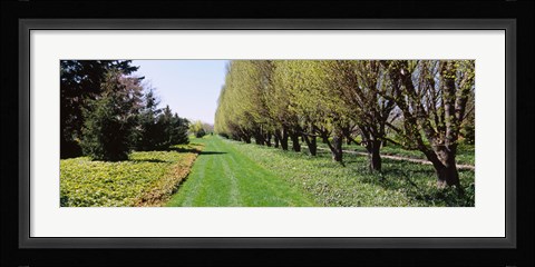 Framed Botanical garden, Niagara Falls, Ontario, Canada Print