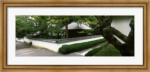 Framed Trees near a temple, Nanzenji Temple, Kyoto, Kyoto Prefecture, Kinki Region, Honshu, Japan Print