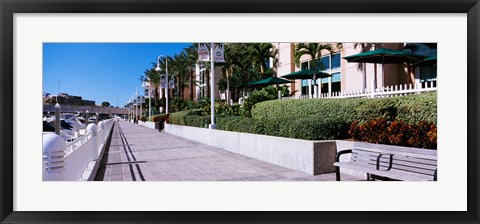 Framed Buildings along a walkway, Garrison Channel, Tampa, Florida, USA Print