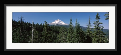 Framed Trees in a forest with mountain in the background, Mt Hood National Forest, Hood River County, Oregon, USA Print
