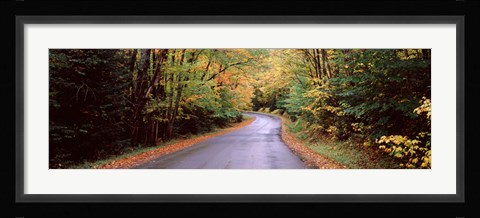 Framed Road passing through a forest, Green Bridge Road, Adirondack Mountains, Thendara, Herkimer County, New York State, USA Print