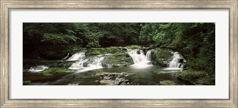 Framed Dingmans Creek flowing through a forest, Dingmans Falls Area, Delaware Water Gap National Recreation Area, Pennsylvania, USA Print