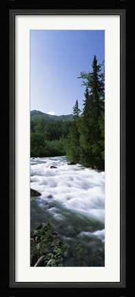 Framed River flowing through a forest, Little Susitna River, Hatcher Pass, Talkeetna Mountains, Alaska, USA Print