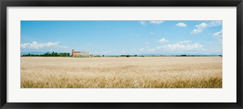 Framed Wheat field with grain elevator near D8, Plateau de Valensole, Alpes-de-Haute-Provence, Provence-Alpes-Cote d&#39;Azur, France Print