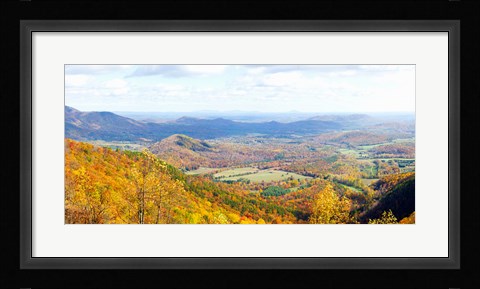 Framed Trees on a hill, North Carolina, USA Print