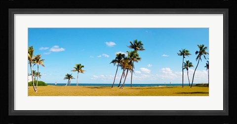 Framed Palm trees on the beach, Lauderdale, Florida, USA Print