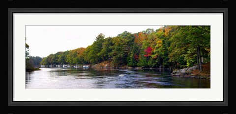 Framed Trees at the Riverside, Musquash River, Muskoka, Ontario, Canada Print