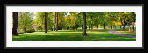 Framed Trees in autumn, Blue Lake Park, Portland, Multnomah County, Oregon, USA Print