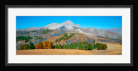 Framed Champs pass in autumn, French Riviera, Provence-Alpes-Cote d'Azur, France Print