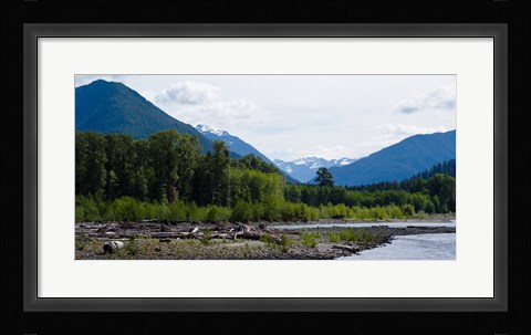 Framed Trees in front of mountains in Quinault Rainforest, Olympic National Park, Washington State, USA Print