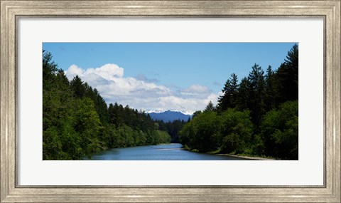 Framed River flowing through a forest, Queets Rainforest, Olympic National Park, Washington State, USA Print