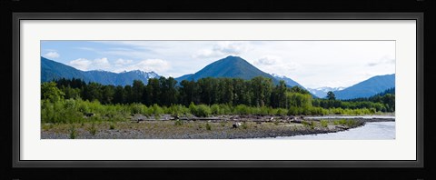 Framed Quinault Rainforest, Olympic National Park, Olympic Peninsula, Washington State Print