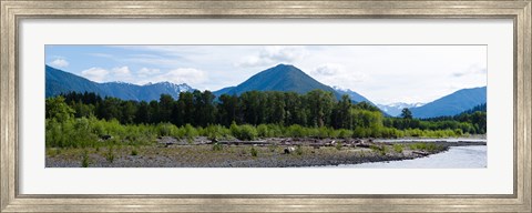 Framed Quinault Rainforest, Olympic National Park, Olympic Peninsula, Washington State Print