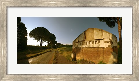 Framed Tombs and umbrella pines along the Via Appia Antica, Rome, Lazio, Italy Print