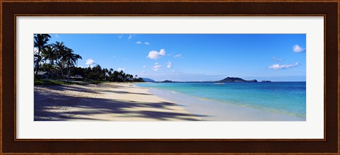 Framed Palm trees on the beach, Lanikai Beach, Oahu, Hawaii, USA Print