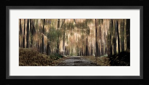 Framed Enchanted forest Print