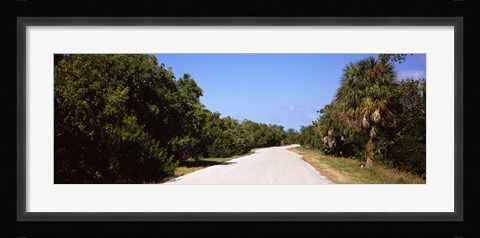 Framed Road passing through Ding Darling National Wildlife Refuge, Sanibel Island, Lee County, Florida, USA Print