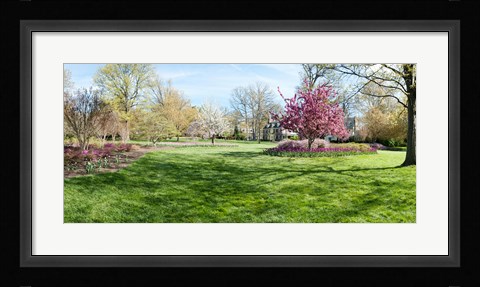 Framed Trees in a Garden, Sherwood Gardens, Baltimore, Maryland Print