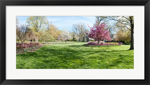 Framed Trees in a Garden, Sherwood Gardens, Baltimore, Maryland Print