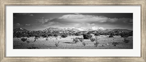 Framed High desert plains landscape with snowcapped Sangre de Cristo Mountains in the background, New Mexico (black and white) Print