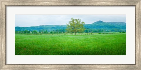 Framed Agricultural field with mountains in the background, Cades Cove, Great Smoky Mountains National Park, Tennessee, USA Print