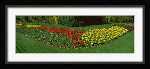 Framed Flowers in St. James's Park, City of Westminster, London, England Print