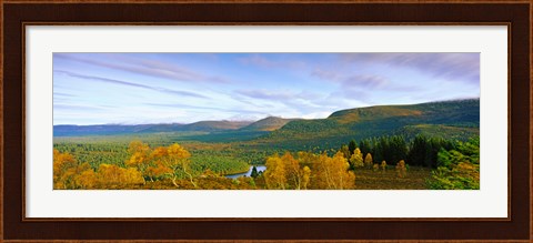 Framed Autumn trees at Loch an Eilein, Rothiemurchus Forest, Aviemore, Cairngorms National Park, Highlands Region, Scotland Print