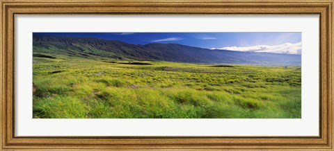 Framed Grassland, Kula, Maui, Hawaii, USA Print