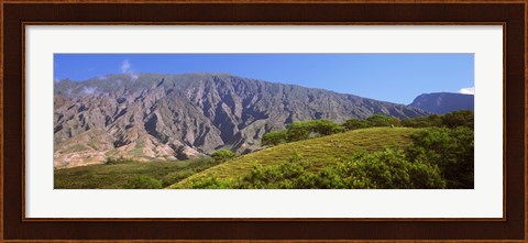 Framed Trees on a hill near Haleakala Crater, Maui, Hawaii, USA Print