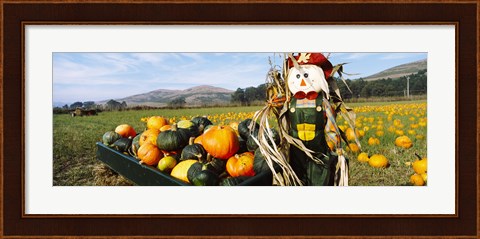 Framed Scarecrow in Pumpkin Patch, Half Moon Bay, California (horizontal) Print