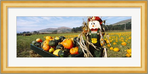 Framed Scarecrow in Pumpkin Patch, Half Moon Bay, California (horizontal) Print