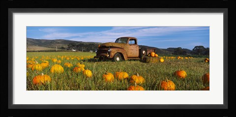 Framed Old Rusty Truck in Pumpkin Patch, Half Moon Bay, California, USA Print