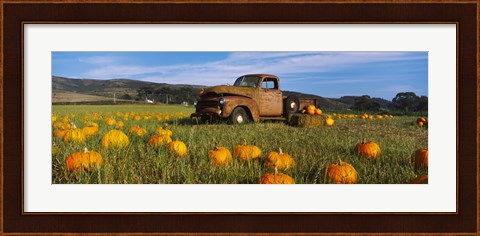 Framed Old Rusty Truck in Pumpkin Patch, Half Moon Bay, California, USA Print