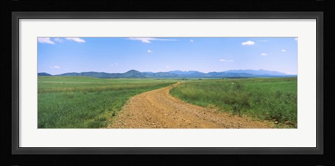 Framed Dirt road passing through a landscape, San Rafael Valley, Arizona Print